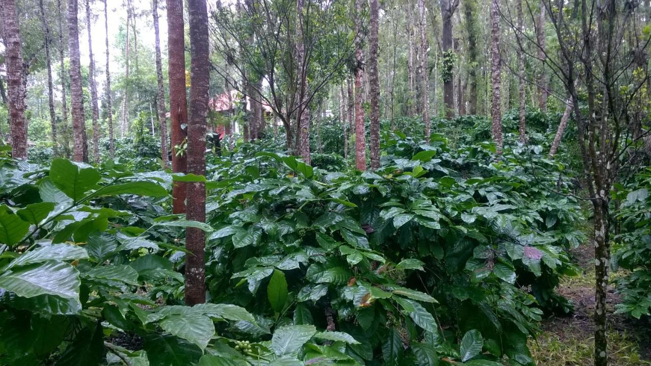 Rai Cottage @ Coorg ,Suntikoppa Dış mekan fotoğraf
