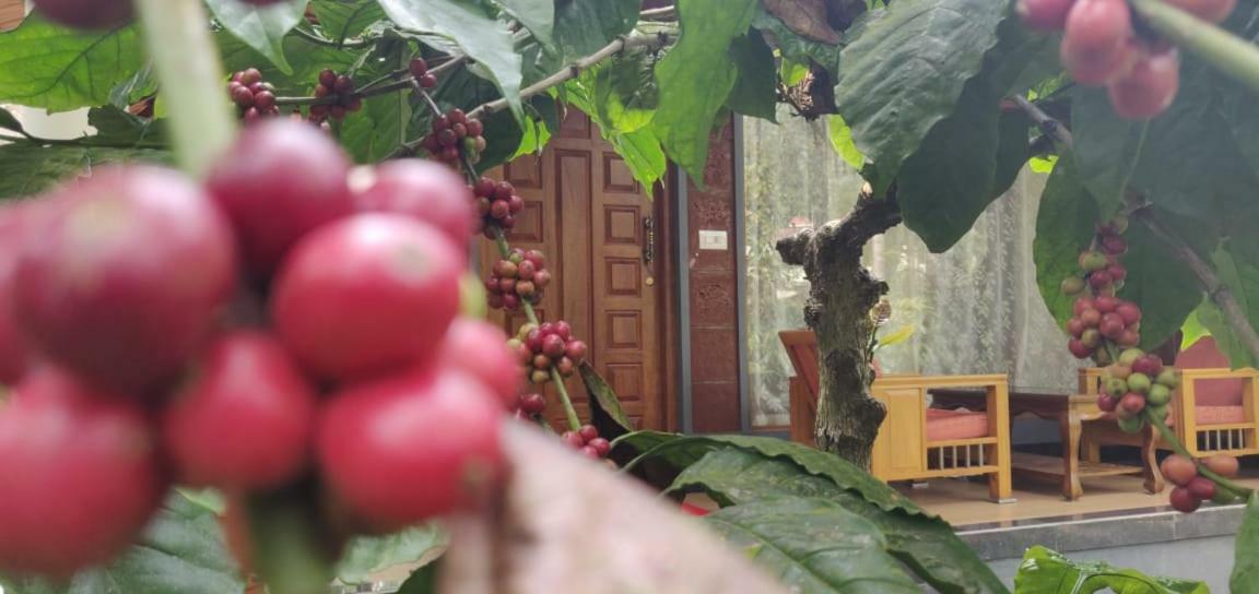 Rai Cottage @ Coorg ,Suntikoppa Dış mekan fotoğraf
