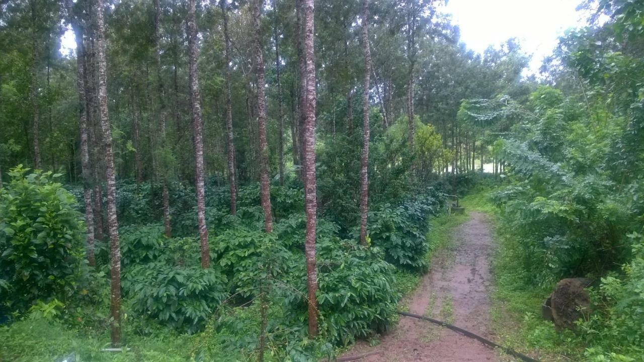 Rai Cottage @ Coorg ,Suntikoppa Dış mekan fotoğraf