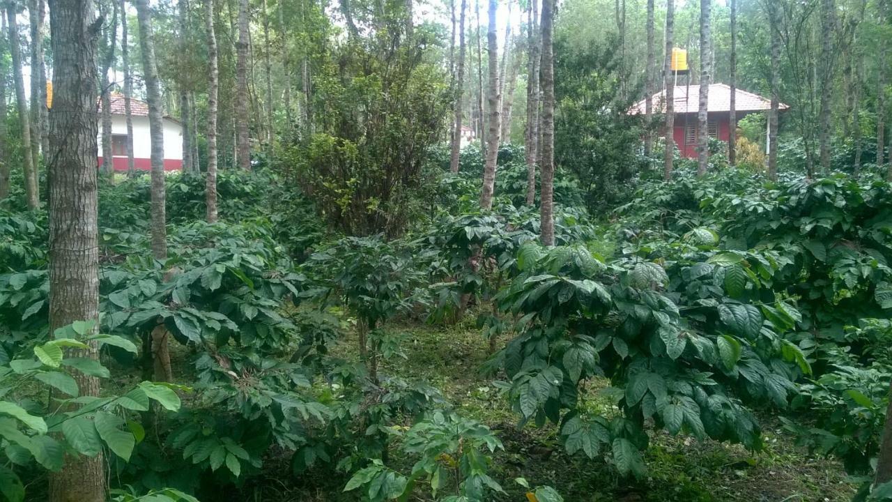 Rai Cottage @ Coorg ,Suntikoppa Dış mekan fotoğraf