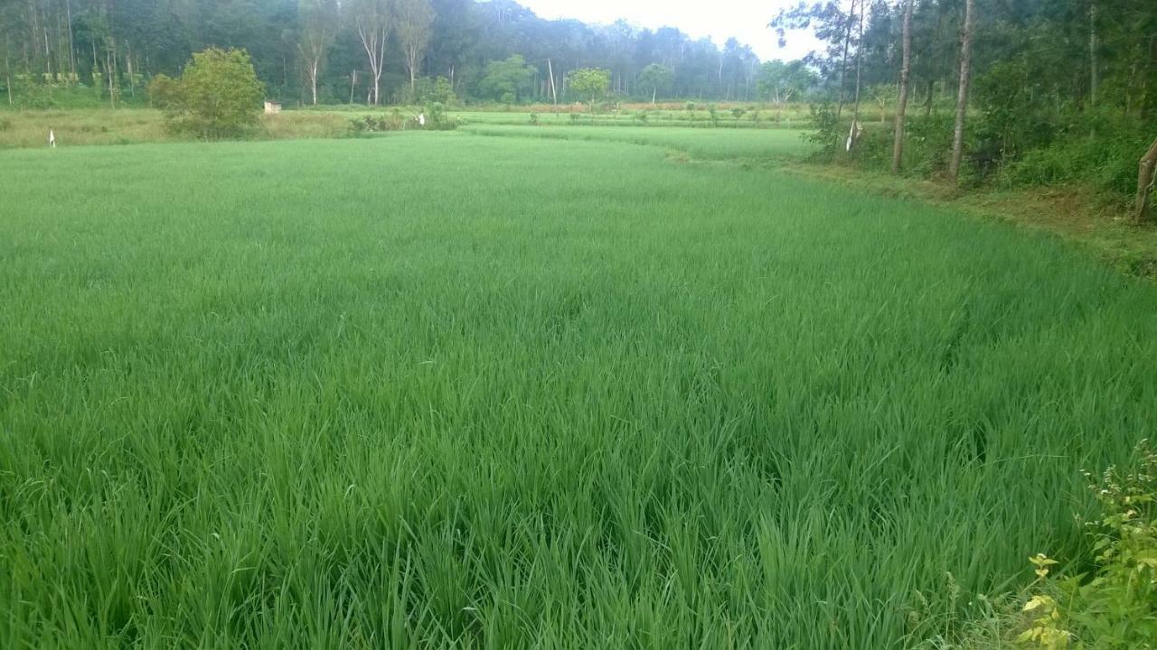 Rai Cottage @ Coorg ,Suntikoppa Dış mekan fotoğraf