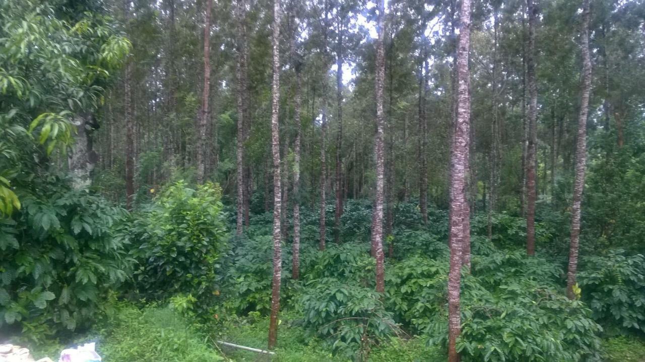 Rai Cottage @ Coorg ,Suntikoppa Dış mekan fotoğraf