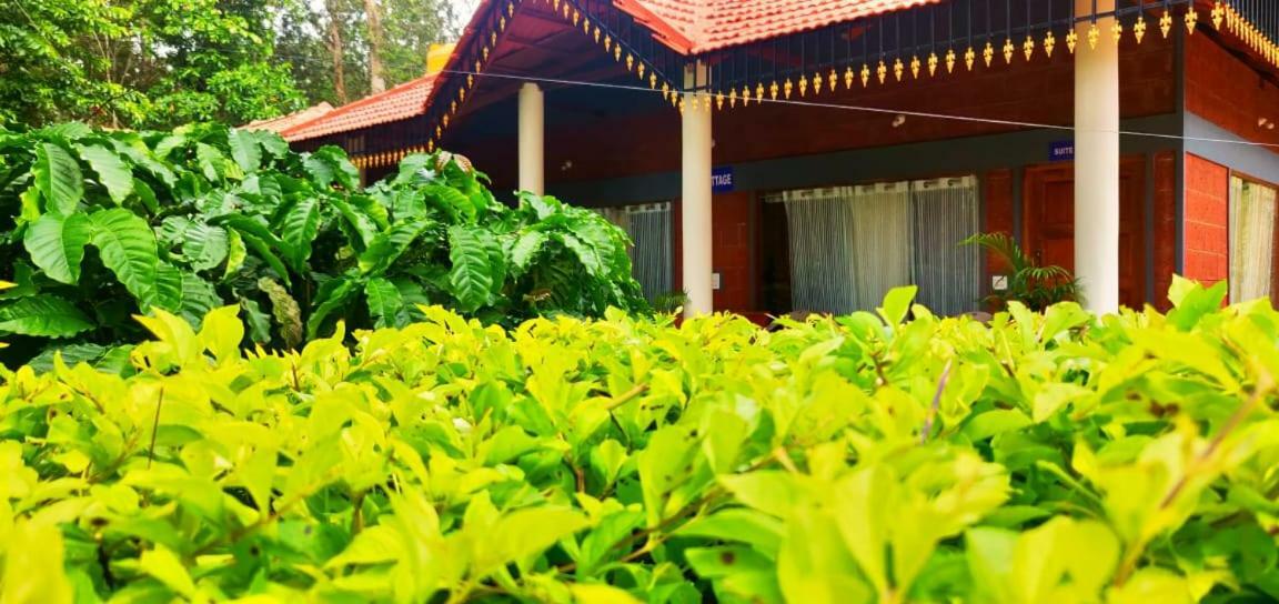 Rai Cottage @ Coorg ,Suntikoppa Dış mekan fotoğraf